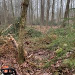 12D88515-80D1-4A54-A48B-146F981185BC