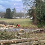 BB94B7C7-473E-44D7-B718-49767995C2C4